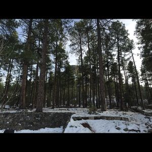 Meet your Posher, Christy